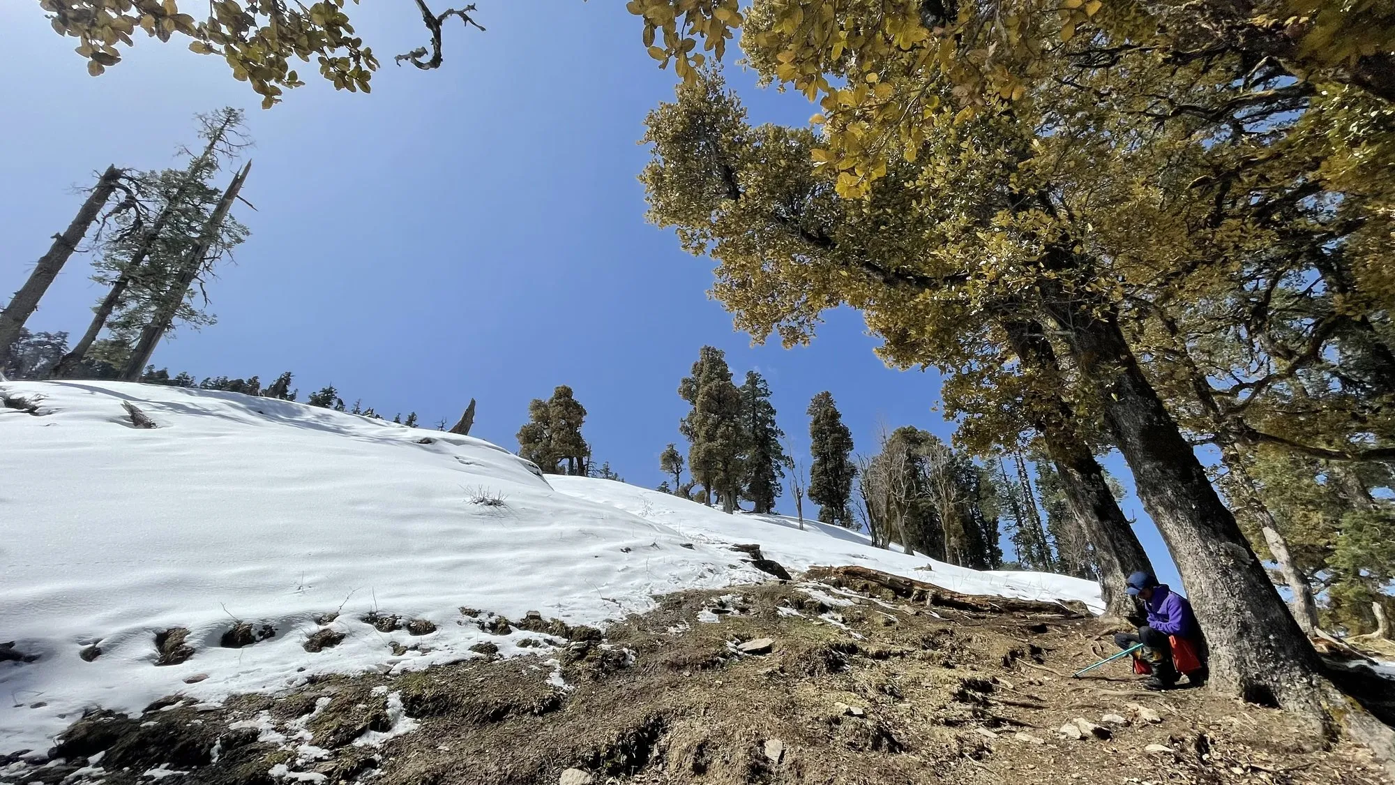 Fresh snow under a clear winter sky
