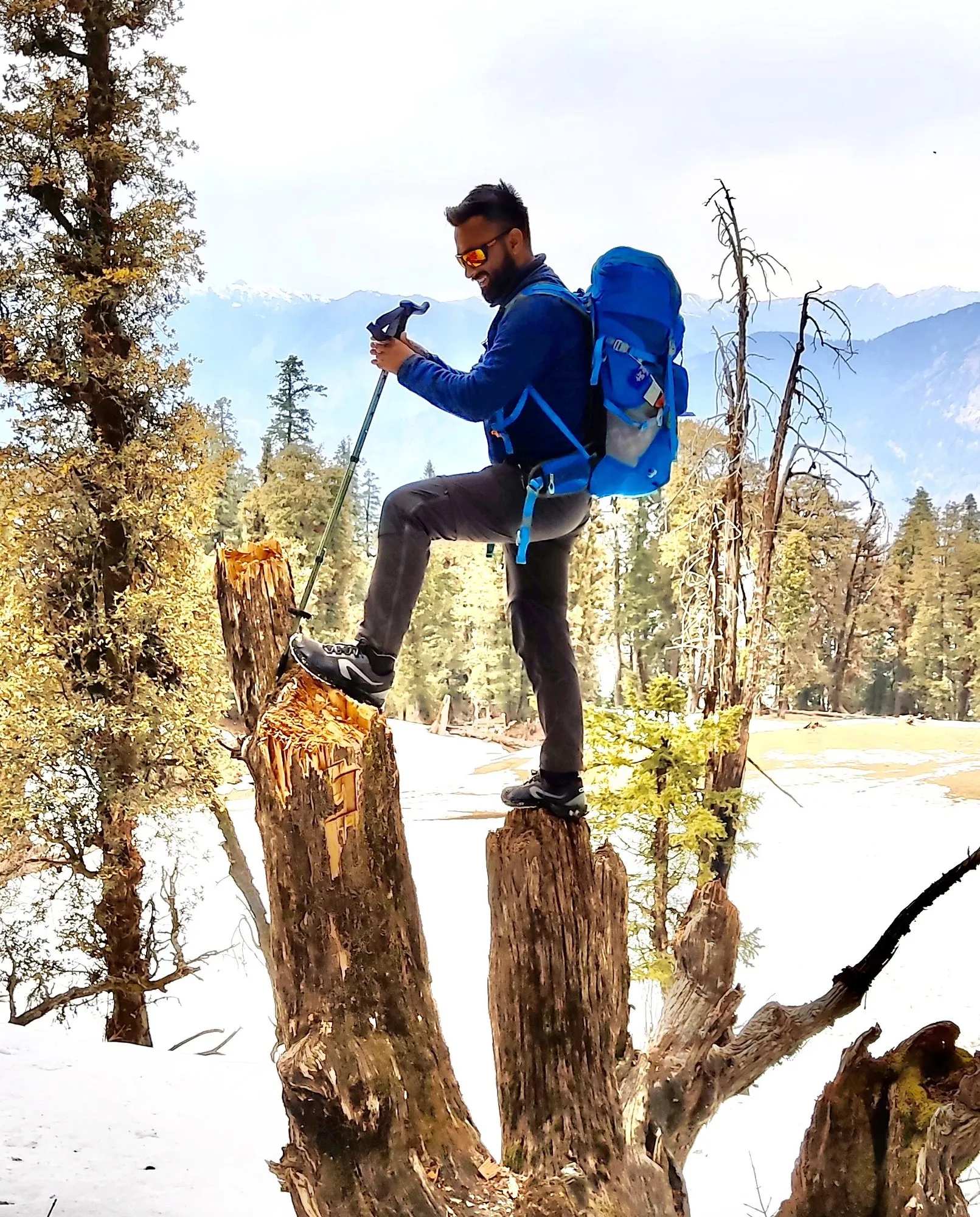 Up on a tree stump in the snow