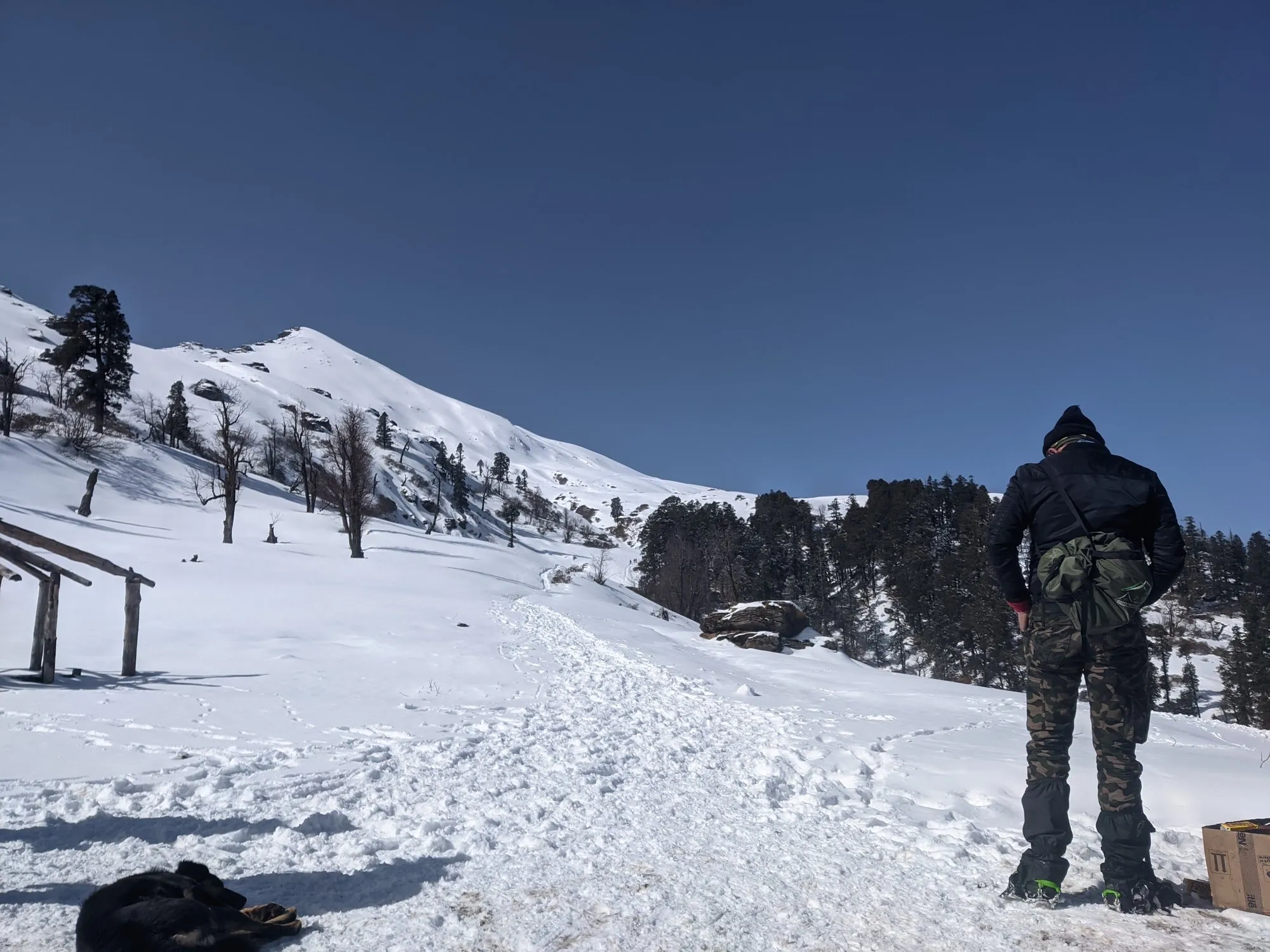 The snow trail near Kedarkantha base camp