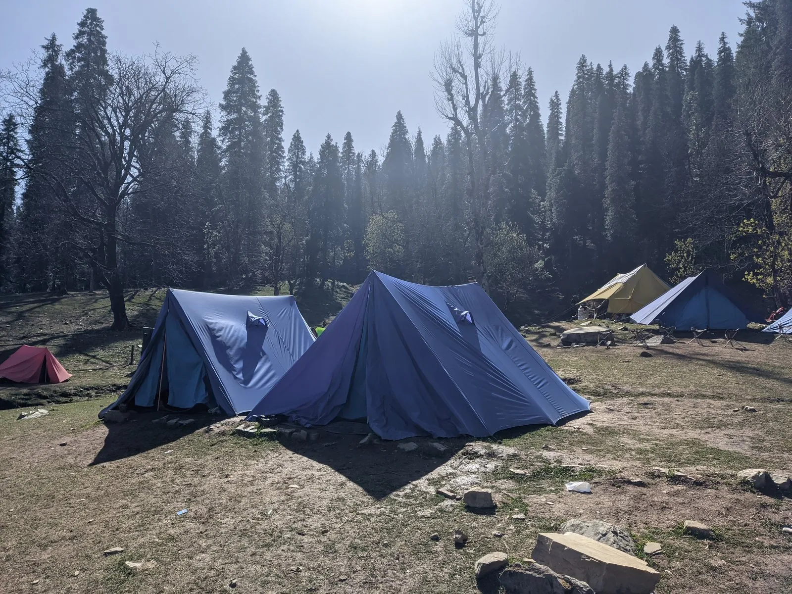 Our tents at the Kedarkantha campsite