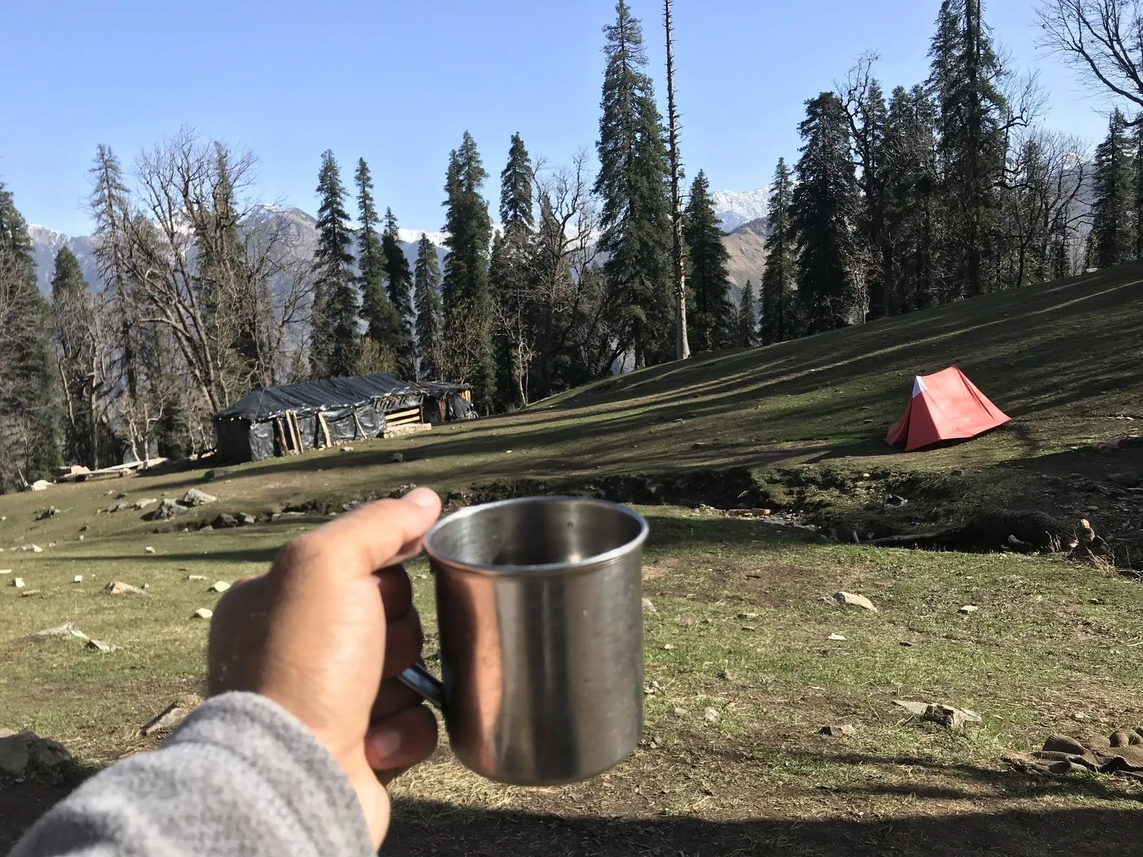 Hot tea at camp